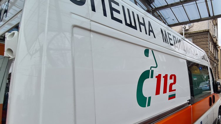 Снимка: архив, БГНЕС