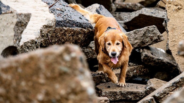 Снимки: Официален профил във Facebook