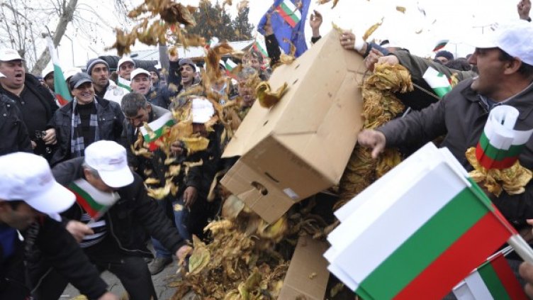 Снимка: архив Булфото