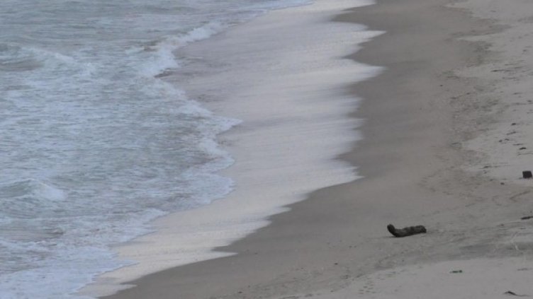 Снимка: Булфото, архив