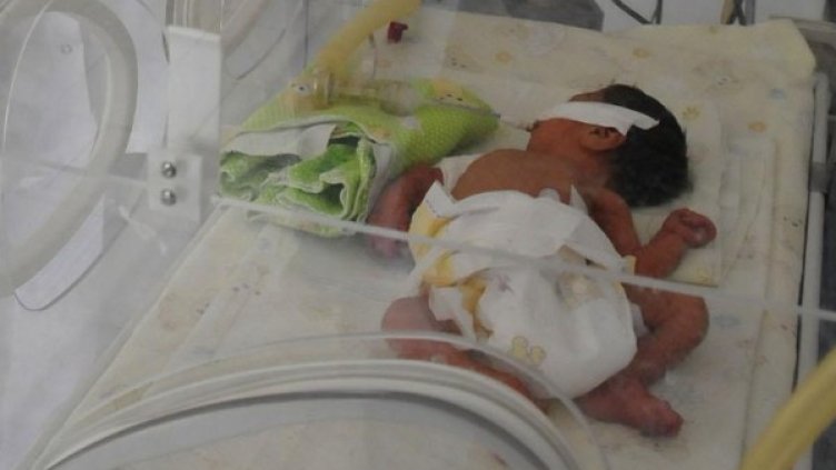 Снимка: Булфото, архив