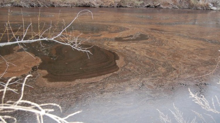 Снимка: Булфото, архив