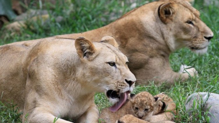 Снимка: Reuters