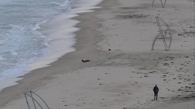 Снимка: архив Булфото