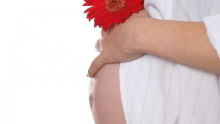 Снимка: photl.com