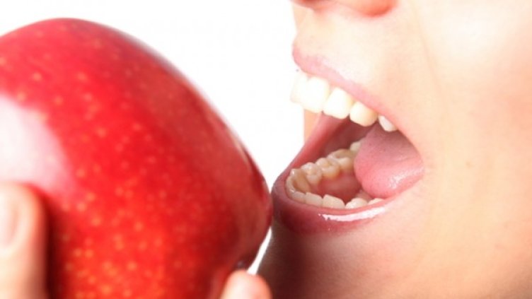 Снимка: photl.com