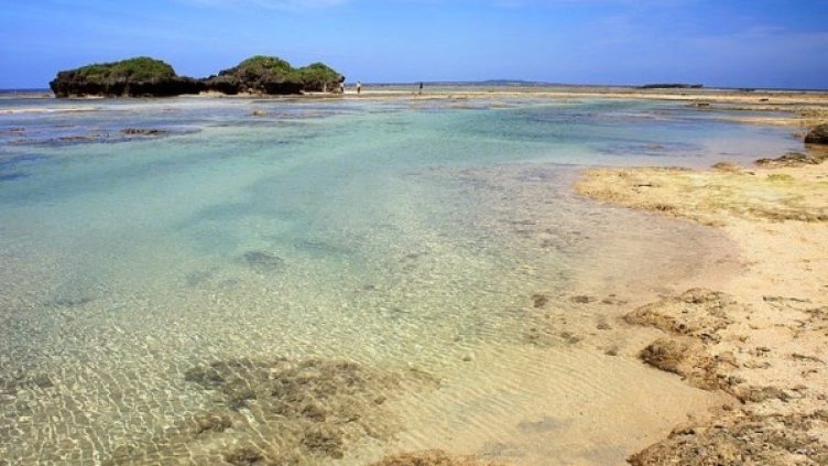 Снимка: wikipedia