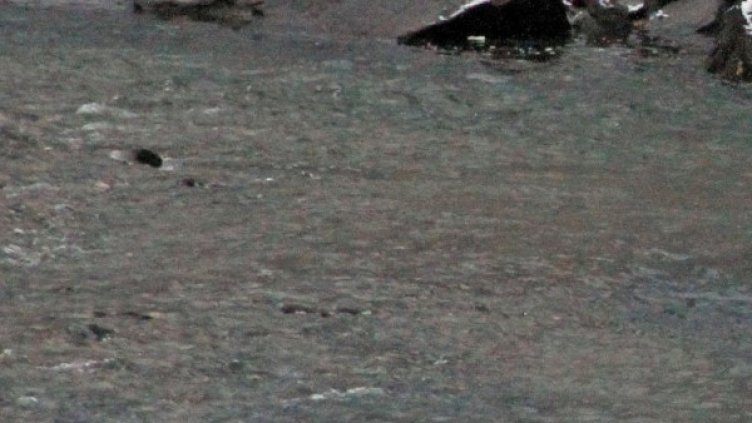 Снимка: Dnes.bg