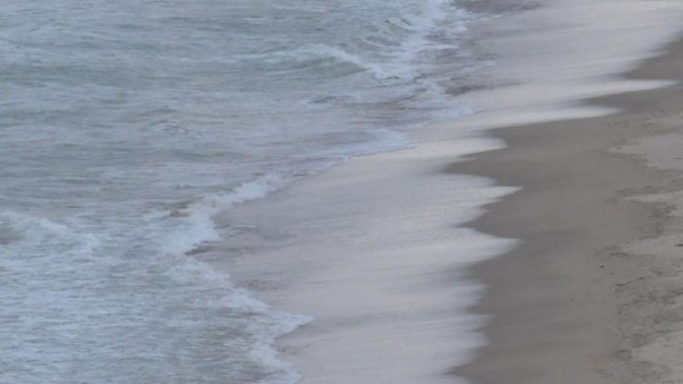 Снимка: Булфото, архив