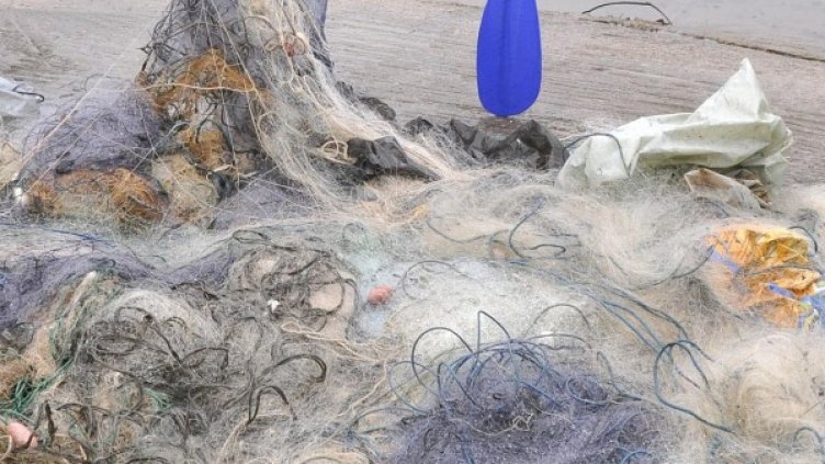 Снимка: Булфото