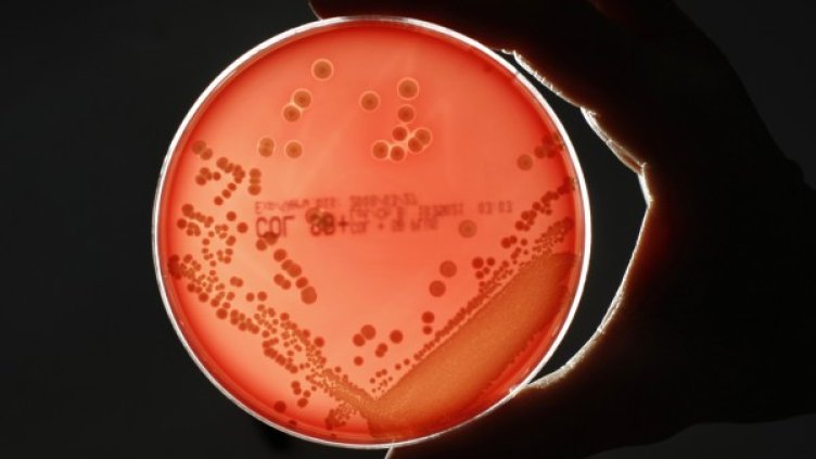 Снимка: Reuters