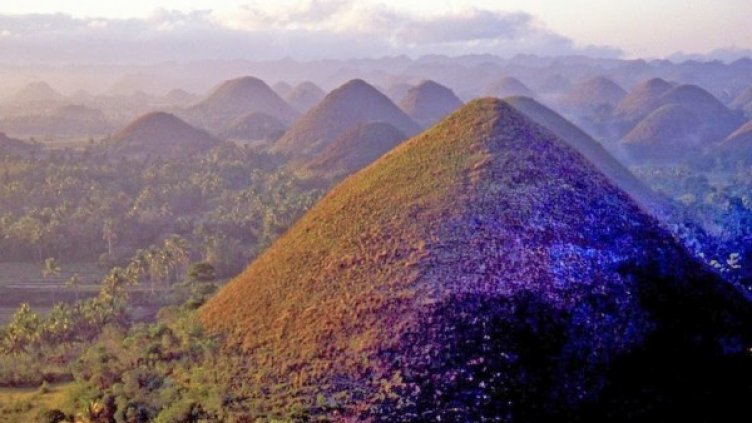 Снимка: flickr.com