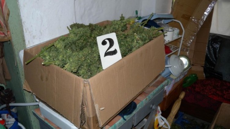 Снимка: Булфото, архив