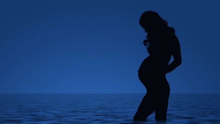 Снимка: freeimages.com