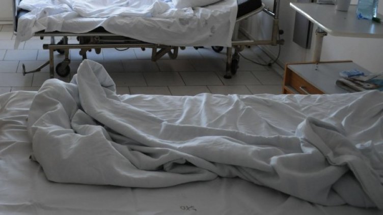 Снимка: Булфото