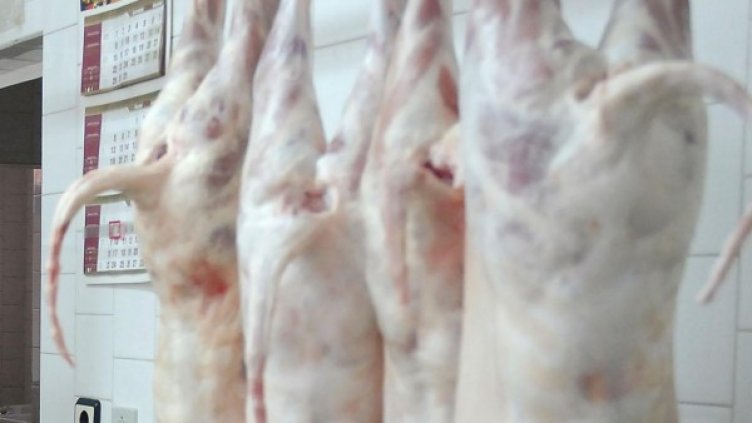 Агнешкият бут е основната съставка на "Печено по деспотски" . Снимка: Булфото