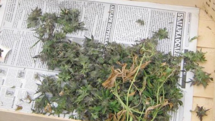 Снимка: Булфото, архив