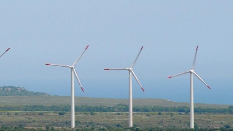 Снимка: архив, БулФото