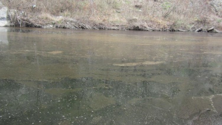 Замърсяване. Архив: Булфото