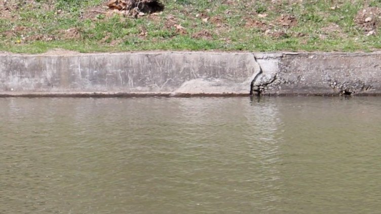 Архив: Булфото