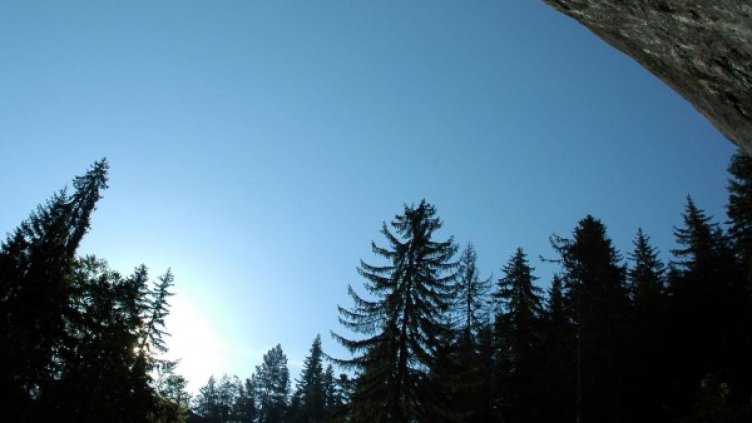 Снимка: Булфото, архив