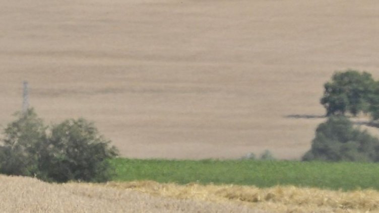 Архив: Булфото