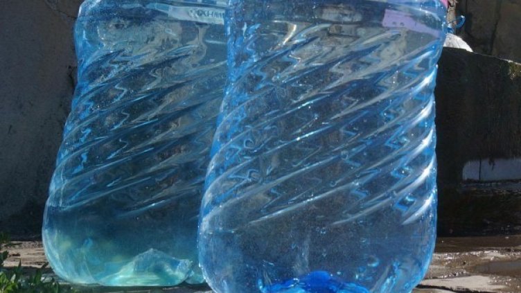 Снимка: Булфото, архив