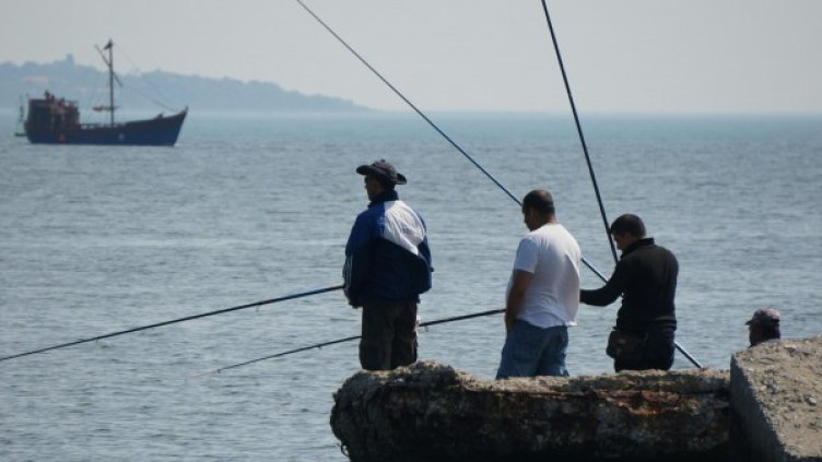 Снимка: Булфото, архив