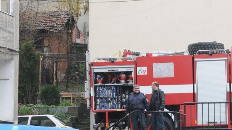 Снимка: Булфото, архив