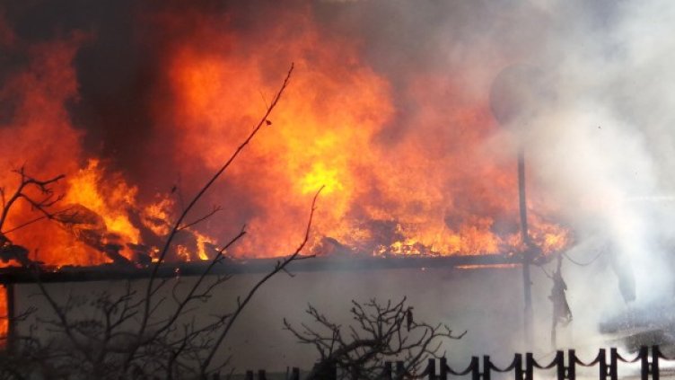 Снимка: Impact Press Group