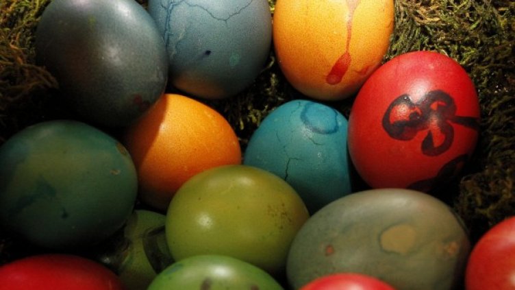 Снимка: Булфото