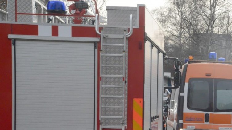 Снимка: Булфото, архив