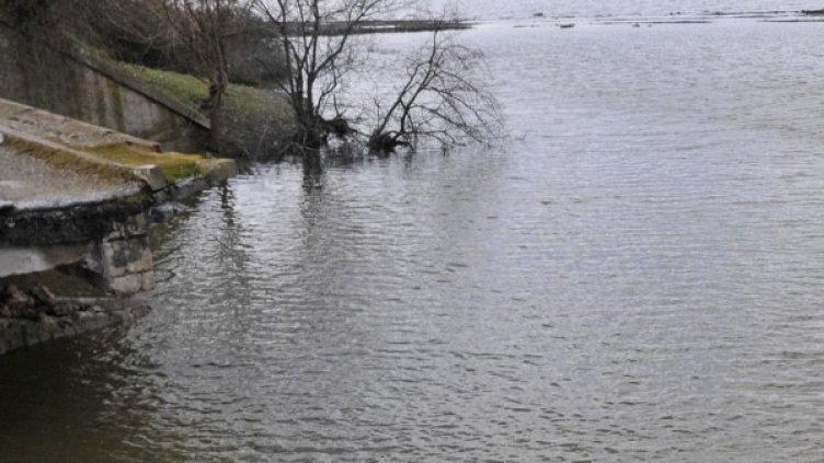Снимка, архив Булфото