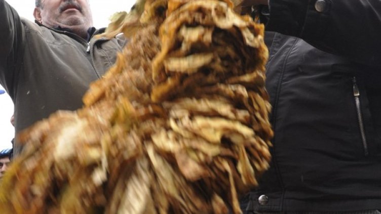 Снимка: архив, БулФото