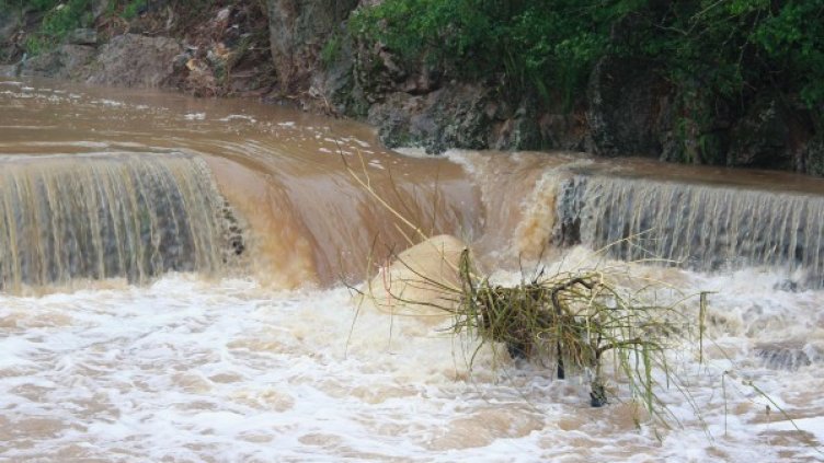 с. Плешивец Снимка: архив,  Булфото