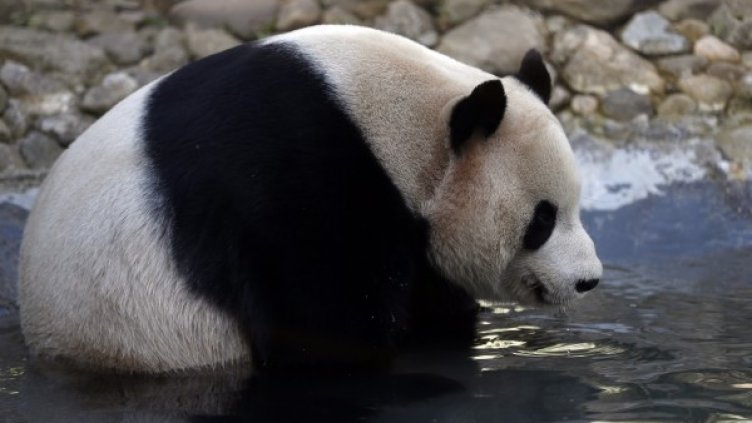 Снимка: архив, Reuters