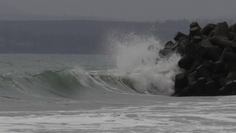 Снимка: архив, БулФото