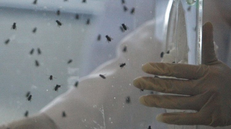 Снимка: Reuters