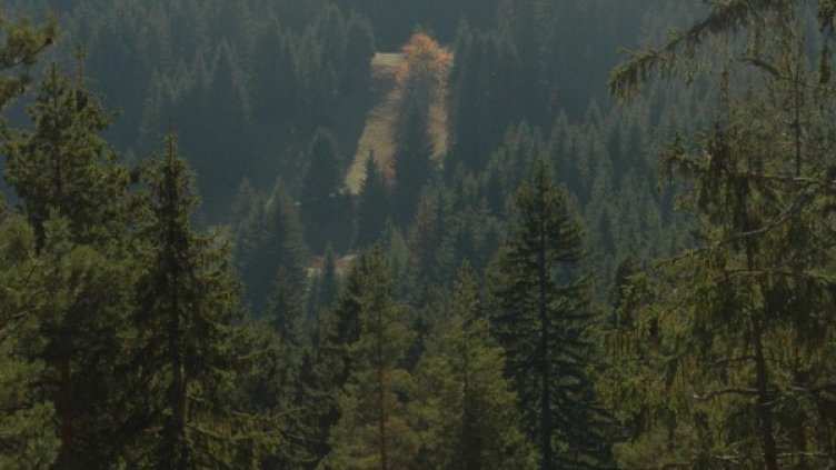 Снимка, архив: Булфото