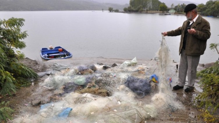 Снимка: Булфото, архив
