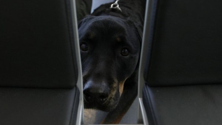 Снимка: архив, Reuters