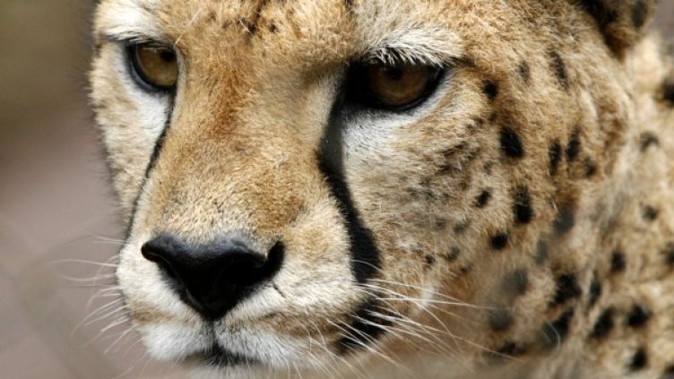 Снимка: Архив Reuters