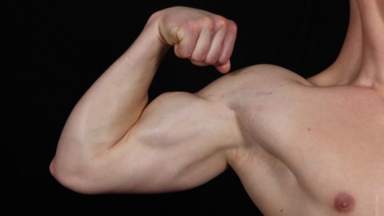 Снимка: photl.com