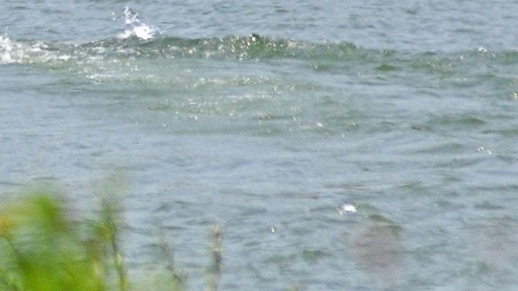 Снимка: архив, БулФото