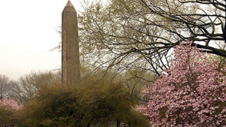 "Обелискът на Клеопатра",  Снимка: centralparknyc.org/