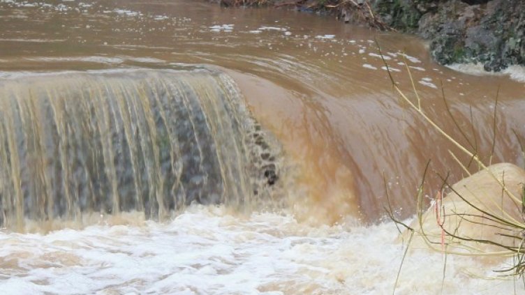 Снимка: архив, БулФото