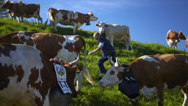 Снимка: архив, Reuters