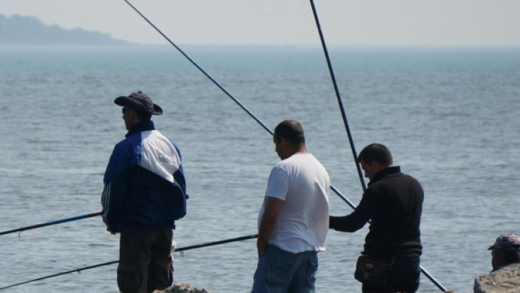 Снимка: Булфото, архив