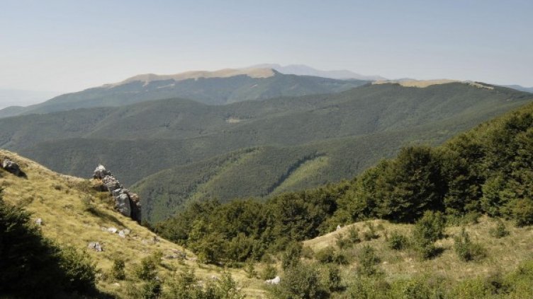 Снимка: архив, Булфото