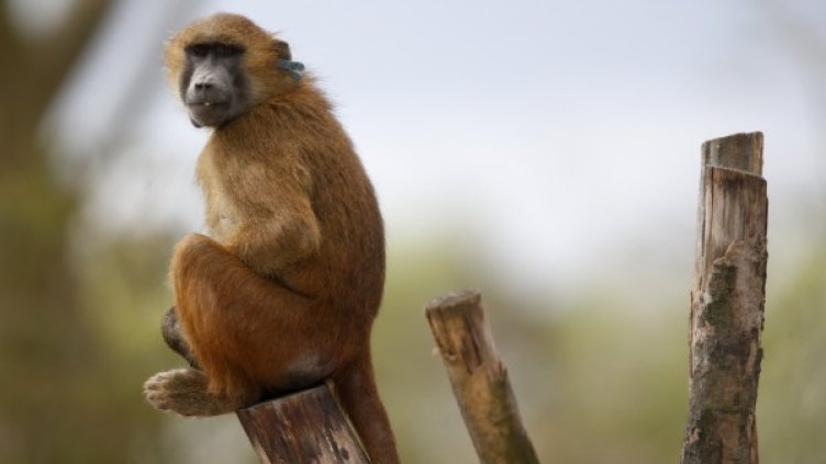 Снимка: Ройтерс